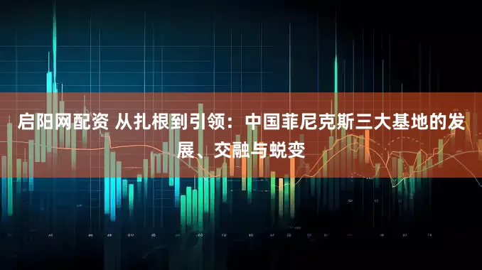 启阳网配资 从扎根到引领：中国菲尼克斯三大基地的发展、交融与蜕变