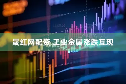 晟红网配资 工业金属涨跌互现