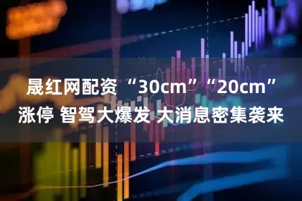 晟红网配资 “30cm”“20cm”涨停 智驾大爆发 大消息密集袭来