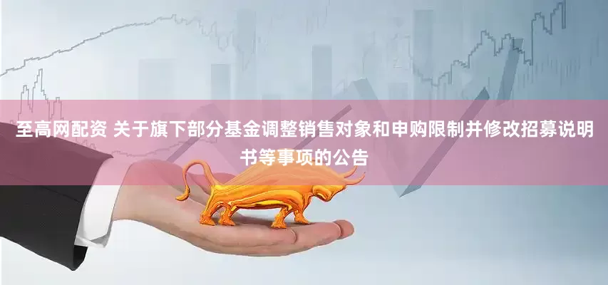 至高网配资 关于旗下部分基金调整销售对象和申购限制并修改招募说明书等事项的公告
