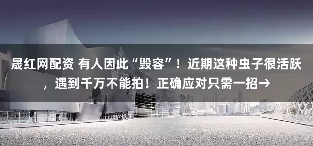 晟红网配资 有人因此“毁容”!近期这种虫子很活跃,遇到千万不能拍!正确应对只需一招→